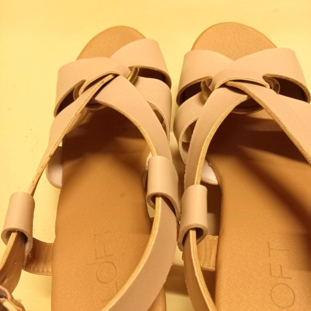 Loft Buckle Wedge